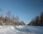 Зимняя дорога — Андрей Панисько