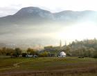 Туман над селом Соколиным — Андрей Панисько