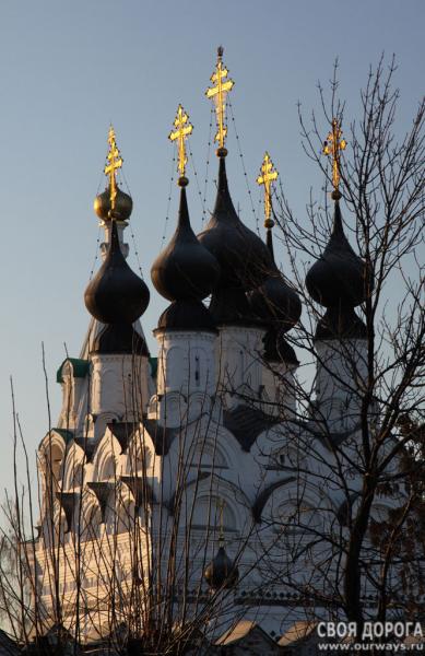 Купола Троицкого монастыря